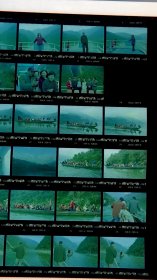 照片、底片：好友们一起游三峡景区等活动的底片 共35张合售 档案盒L 0037
