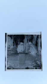 黑白照片：游玩留影的底片 两人在林间游玩的留影 共1张合售 档案盒J 蓝黑色底片夹0025
