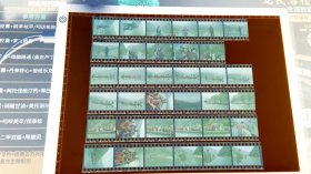 照片、底片：好友们一起游三峡景区等活动的底片 共35张合售 档案盒L 0037