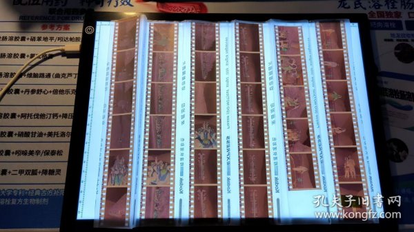 照片、底片：好友们一起游三峡景区等活动的底片 共35张合售 档案盒L 0037