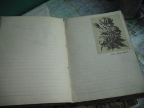 老笔记本 1956.美术日记 （有些笔迹）