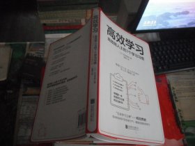 高效学习：高效能人士的7个学习习惯（“日本学习之神”和田秀树的学习之道）