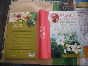 Plantes d`intérieur