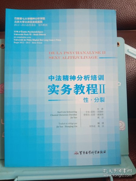 中法精神分析培训实务教程2：性·分裂