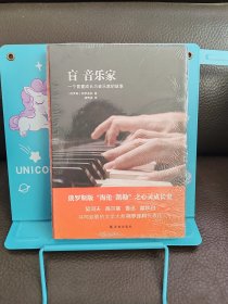 盲音乐家