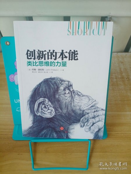 创新的本能：类比思维的力量