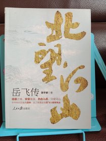 正版现货 北望河山 ：岳飞传