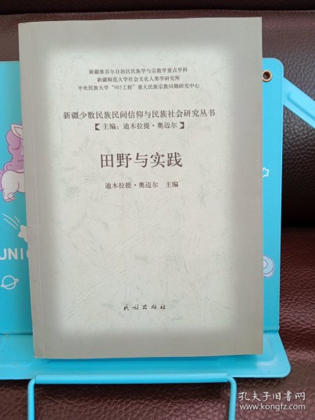 新疆少数民族民间信仰与民族社会研究丛书：田野与实践