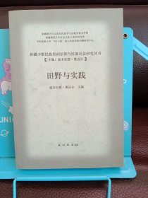 新疆少数民族民间信仰与民族社会研究丛书：田野与实践