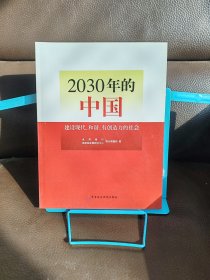 2030年的中国：建设现代化和谐有创造力的社会