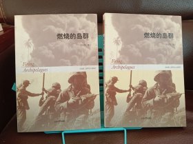 燃烧的岛群(上下)：宋宜昌二战军史小说系列