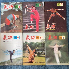 气功1985年（1-6期）合售