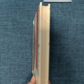 新岳全传(十大古典小说普及丛书)