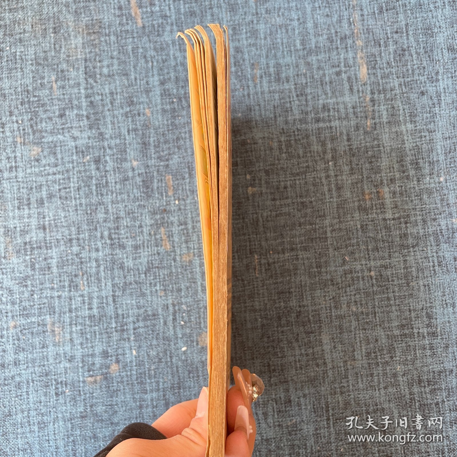 乱马二分之一 卷五1