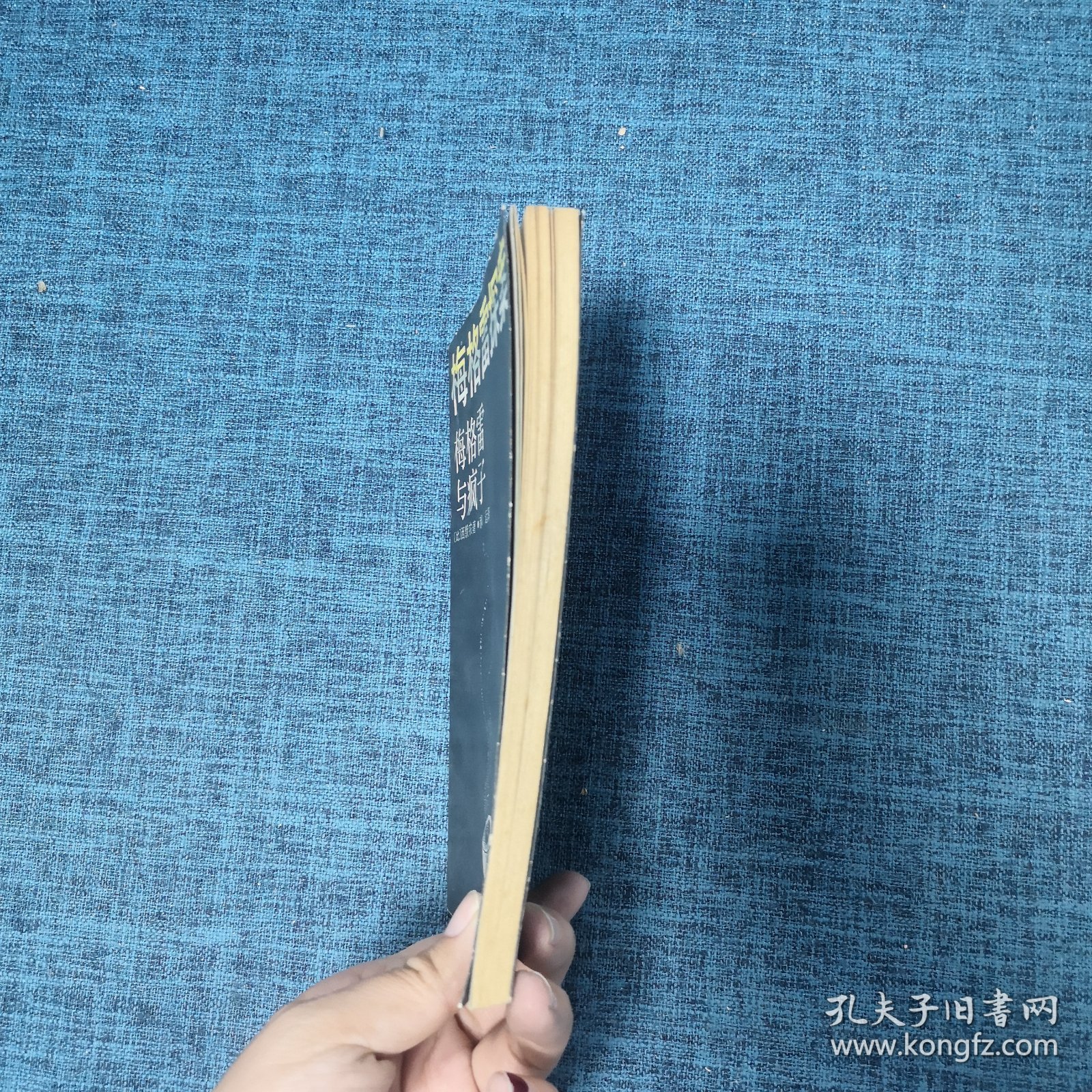 点击查看原图 梅格雷探案 梅格雷与疯子