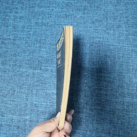 梅格雷探案 梅格雷与疯子