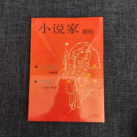 小说家 增刊