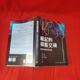 崛起的极客女孩：震撼科技界的女性力量.