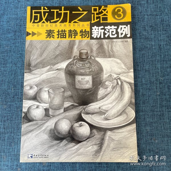 成功之路：素描静物新范例3