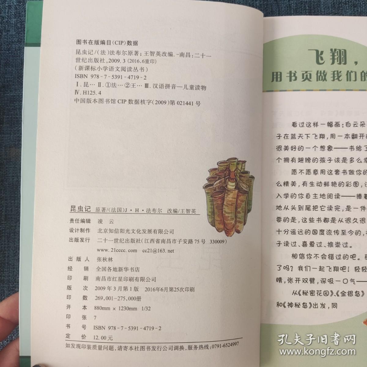 新课标小学语文阅读丛书：昆虫记（彩绘注音版）