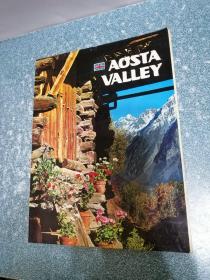 AOSTA VALLEY（书脊脱胶）