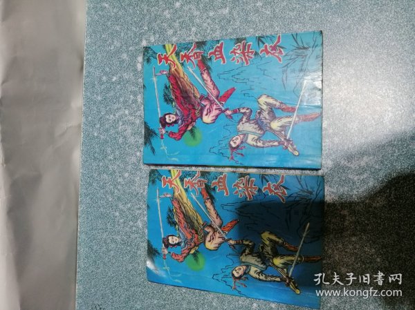 天香血染衣(上下册)