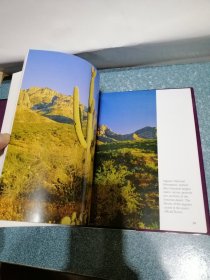 ARIZONA（硬精装）