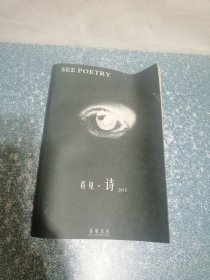 看见 诗2015