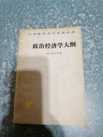 政治经济学大纲