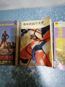 罪孽的诱惑、青年的四个大梦 等（3本合售）