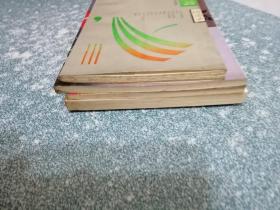 杨家将、冷火与断云、中国春节春联婚丧喜庆对联大全、时光九篇（4本合售）