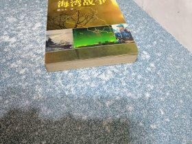 战后四大战争 海湾战争