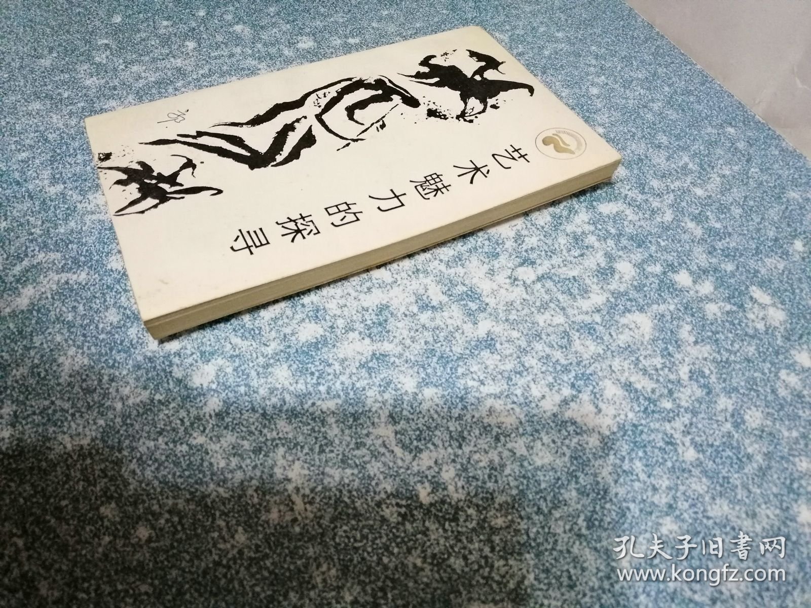 艺术魅力的探寻（扉页撕掉）