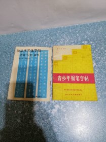 青少年钢笔字帖、钢笔字三体字帖——正书、行书、草书（2本合售）