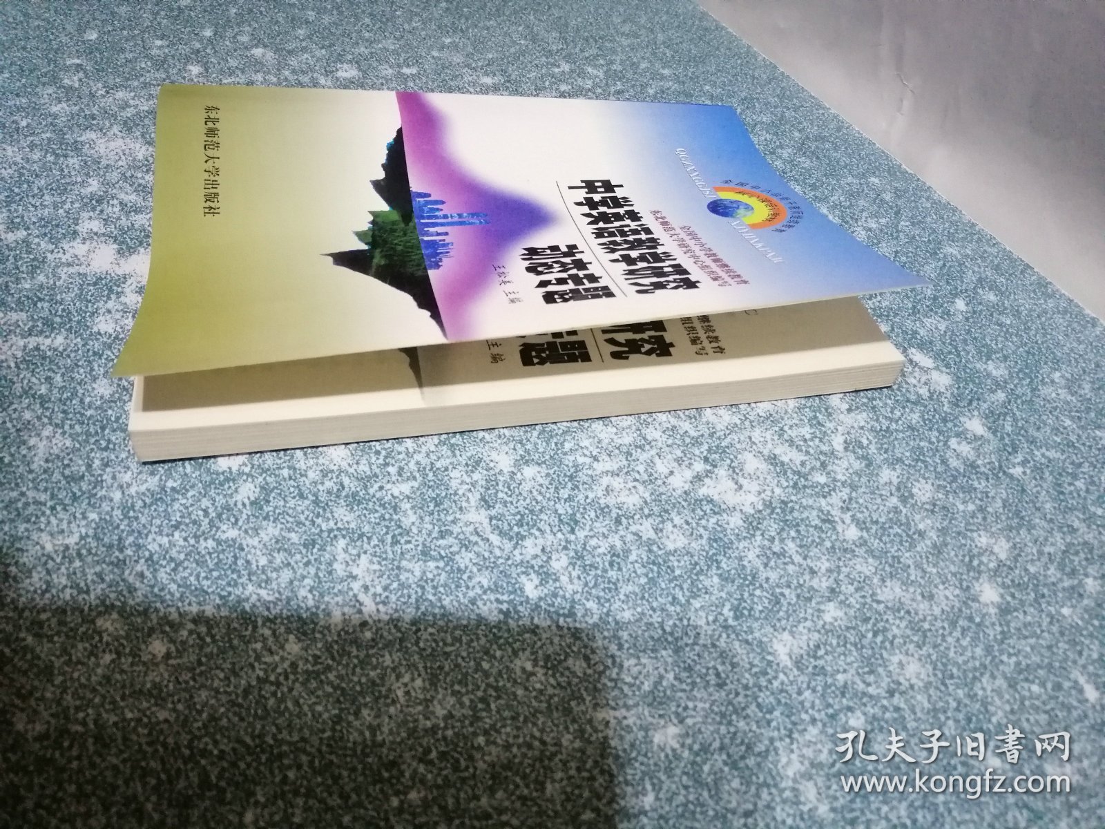 中学英语教学研究动态专题