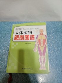 人体实物解剖图谱（硬精装）