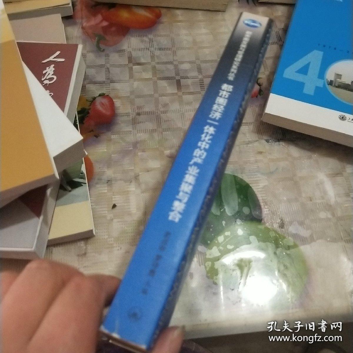 都市圈经济一体化中的产业集聚与整合