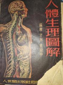 人体生理图解