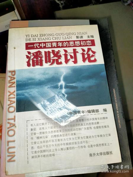 潘晓讨论：一代中国青年的思想初恋