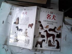 名犬：全世界300多种名犬的彩色图鉴