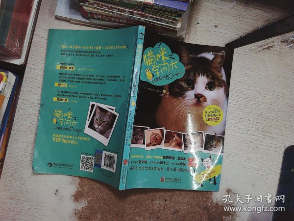 猫咪学问大：80个人类最想问的喵什么