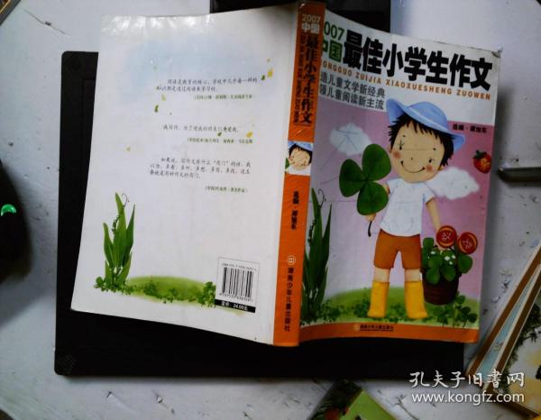 2007中国最佳小学生作文