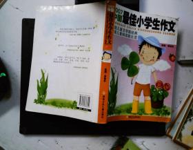 2007中国最佳小学生作文