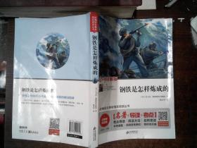 钢铁是怎样炼成的 七年级 无障碍阅读+中考考点 统编语文教材指定阅读丛书