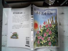 牵牛花看太阳