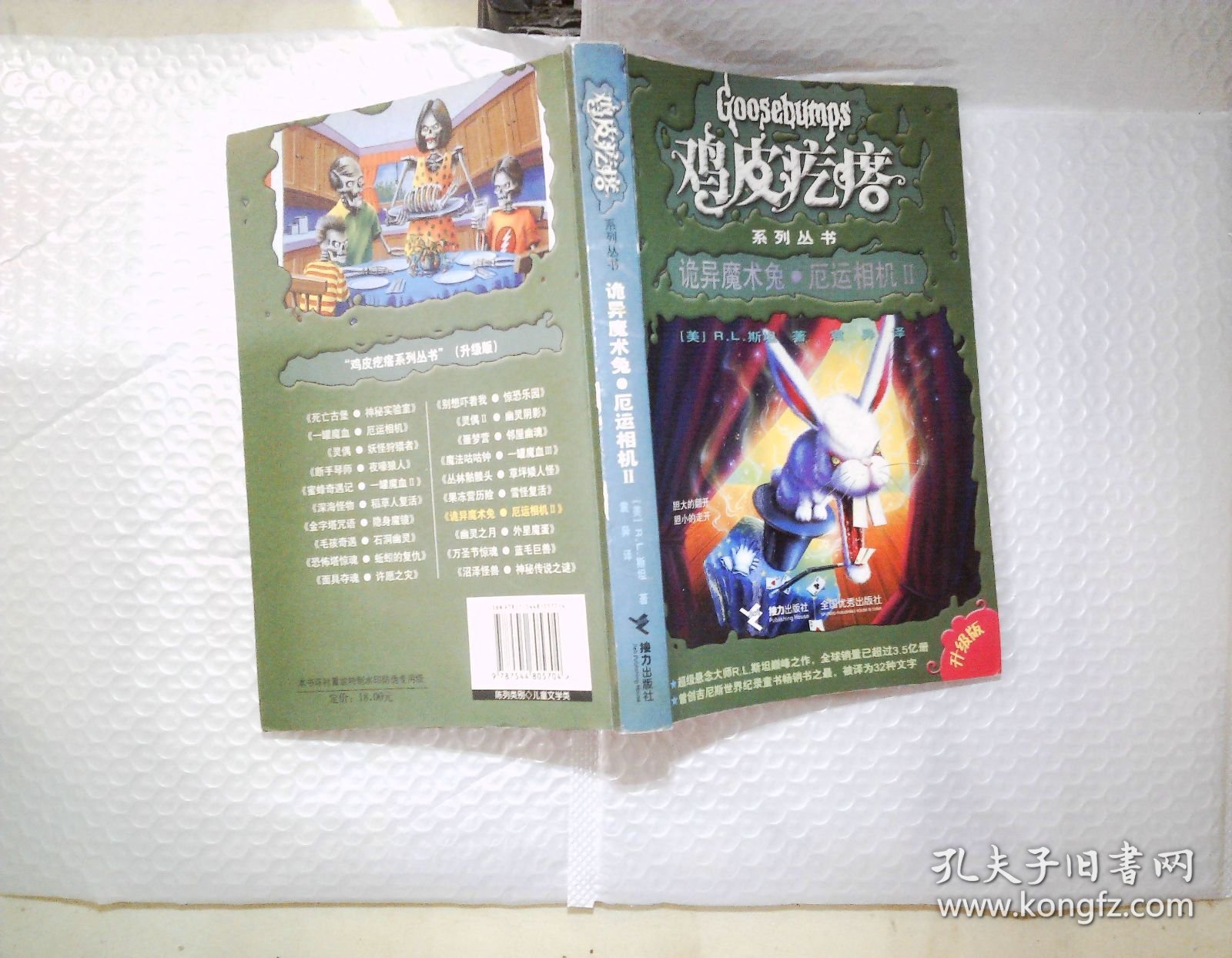 鸡皮疙瘩：诡异魔术兔·厄运相机2