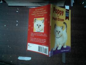 poppy the posh kitten