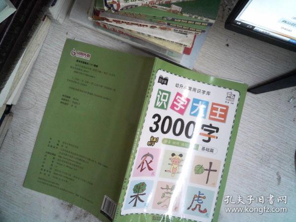 幼儿学前识字大王3000字全套6册 幼小衔接一日一练全套识字教材 幼儿园大班中班小班一年级3-4-5-6岁幼升小看图识字神器儿童启蒙早教认字书