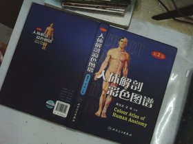 人体解剖彩色图谱