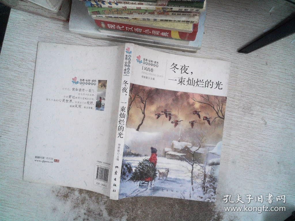 冬夜，一束灿烂的光：生活认知成长青春励志故事